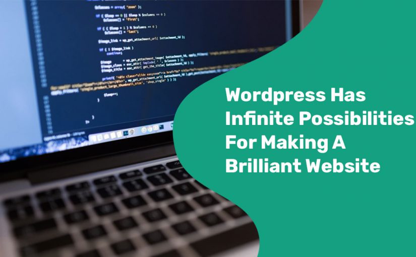 WordPress Has Infinite Possibilities For Making A Brilliant Website