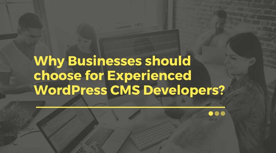 Businesses choose Experienced WordPress Developer
