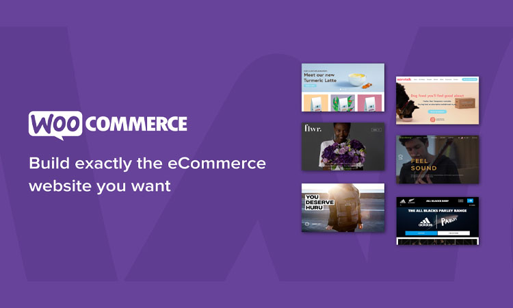 woocommerce features